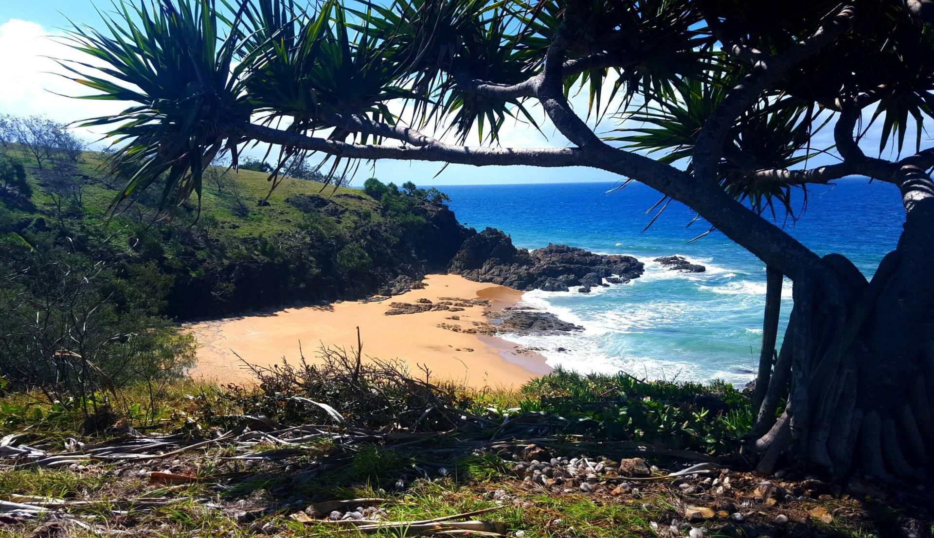 Secluded beach and headland on the Discovery Coast near Agnes Water, part of the local area Spartan Sheds builds in
